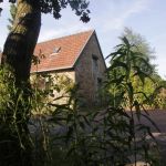 gite - Rugolven - LOUANNEC - Côtes d'Armor