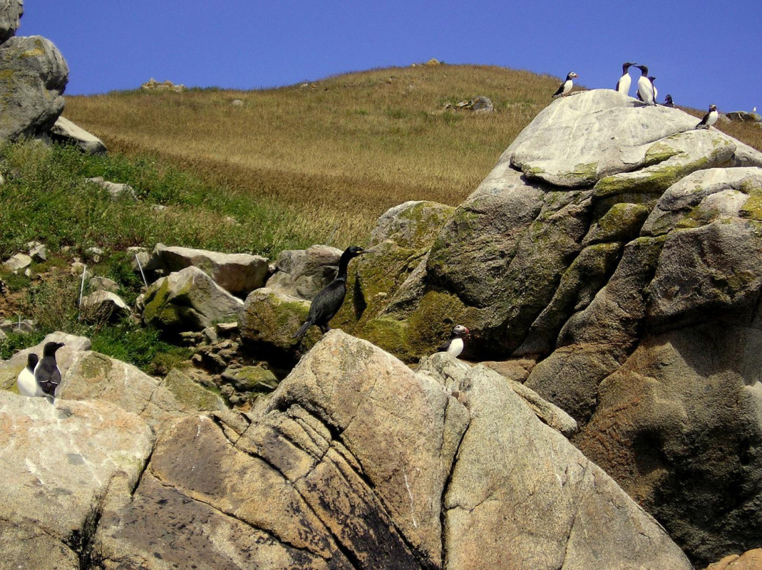 photo 45