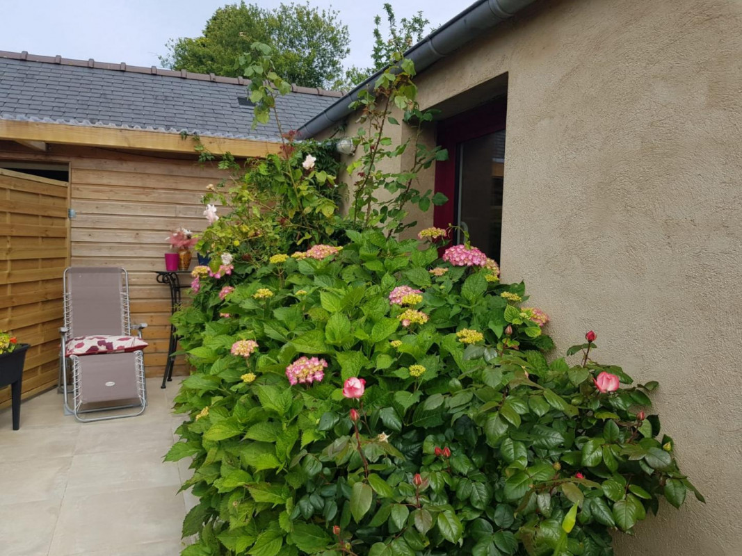 photo 35